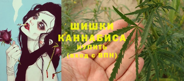 мет Каменка